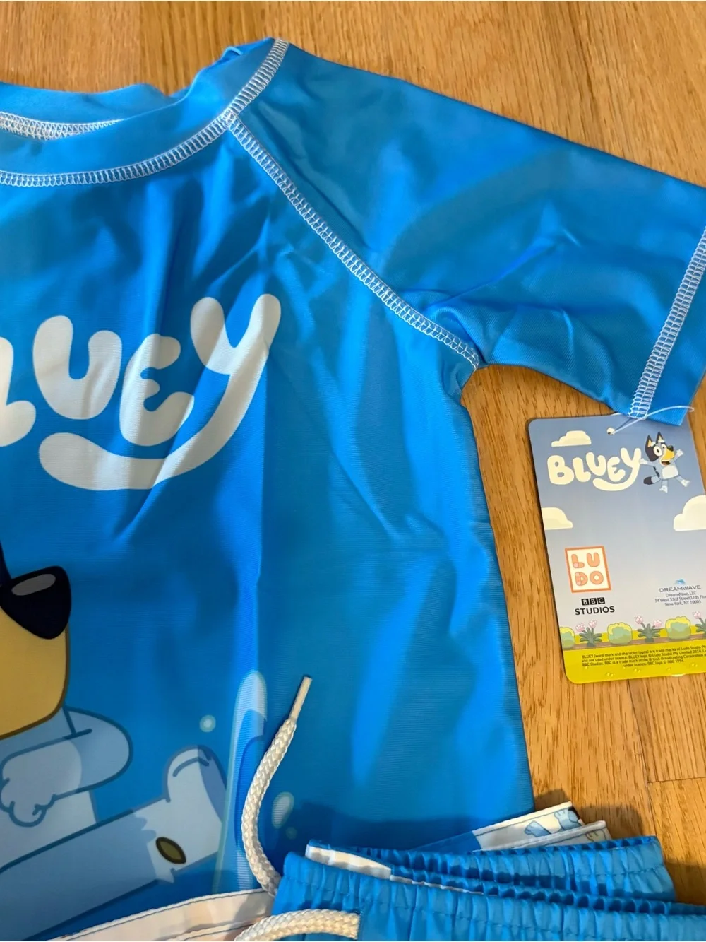 Bluey Kids' Blue Short Sleeve Rash Guard and Swim Trunks Set NEW 6/7 Bathing
